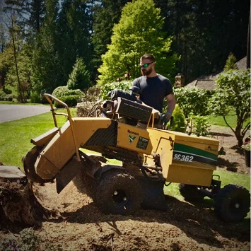 Stump grinding - Andy's Tree Services Inc.