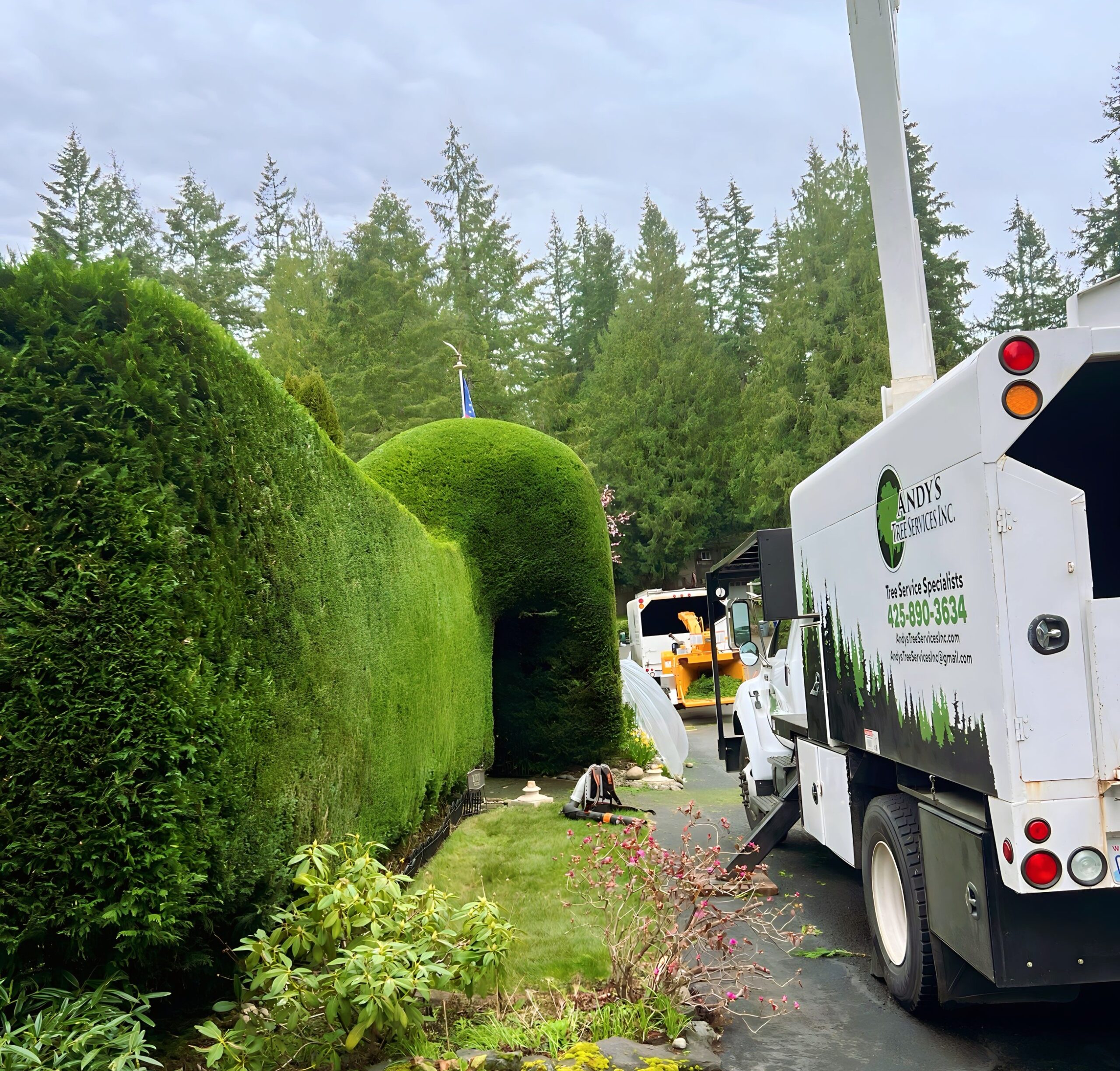 Home - Andy's Tree Services, Inc.